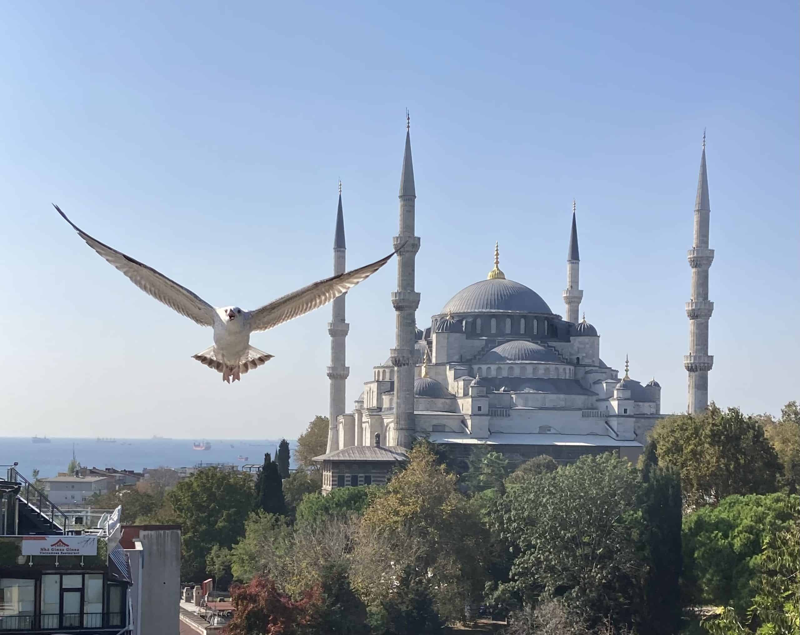 The Blue Mosque